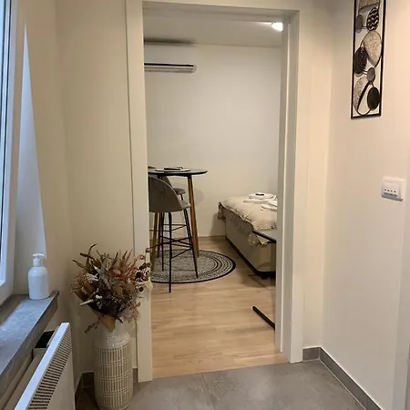 Dm * Belgrade